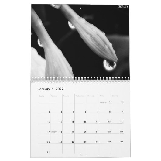 2010 zwarte en witte kalender (Jan 2027)