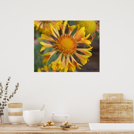 2010f_may, Craig Krieger Poster (Keuken)