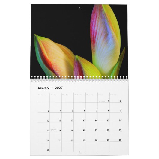 2011 calendrier - fleurs (Jan 2027)