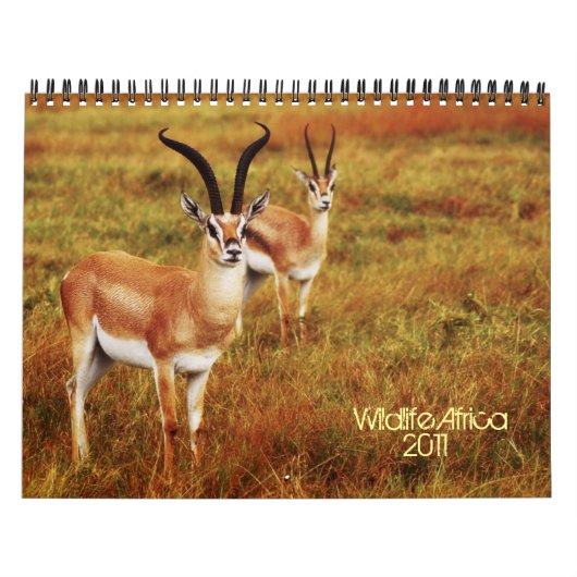 2011 calendriers - faune Afrique (Protection)