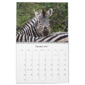 2011 calendriers - faune Afrique (Jan 2027)