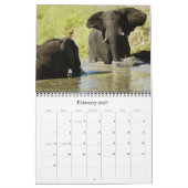 2011 calendriers - faune Afrique (Feb 2027)