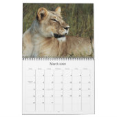 2011 calendriers - faune Afrique (Mar 2026)