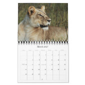 2011 calendriers - faune Afrique - de petite (Mar 2027)