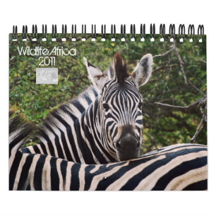 2011 calendriers - faune Afrique - de petite