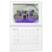 2011 Chihuahua Calander Kalender (Feb 2026)