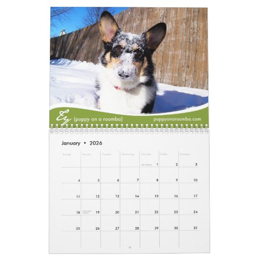 2011 Corgis (met blogs) Wall Calendar Kalender (Jan 2026)