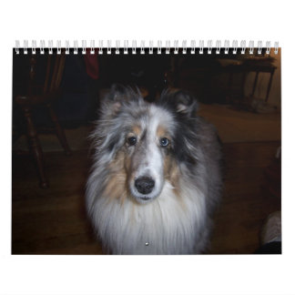 2011 Gallagher Agenda-Wheaton Kalender