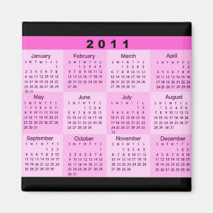 2011 Jaar in één oogopslag Magneet