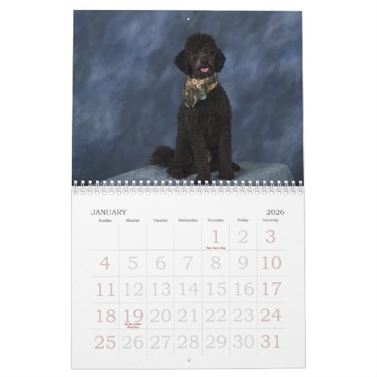2011 KALENDER (Jan 2026)