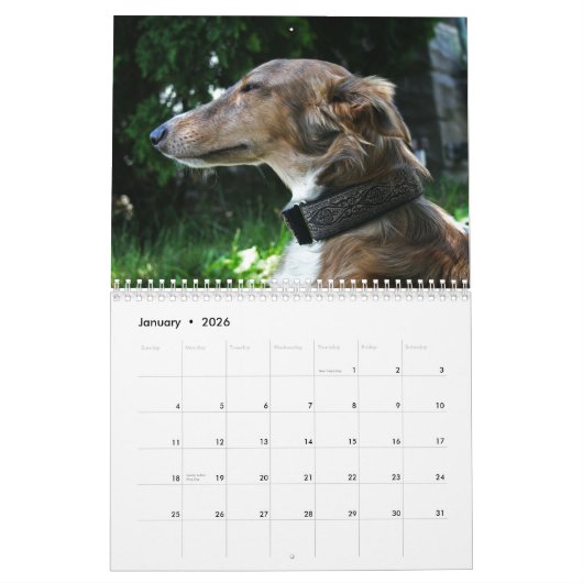 2011 Silken Windhounds 2011 (volwassenen) Kalender (Jan 2026)
