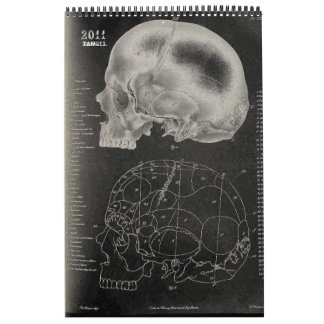 2011 SKULL/SKELETON/ANATOMY-Tang13. Kalender