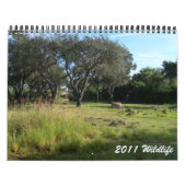 2011 Wilde dieren Kalender (Hoes)