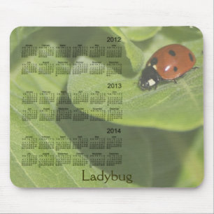 2012-2014 Ladybug Calendar Mousepad Muismat