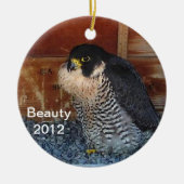 2012 Beauty Ornament (Voorkant)
