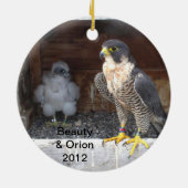 2012 Beauty Ornament (Achterkant)