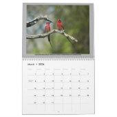 2012 BIRD CALENDAR KALENDER (Mar 2026)