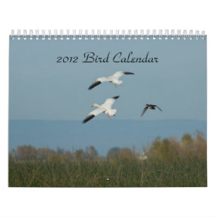 2012 BIRD CALENDAR KALENDER