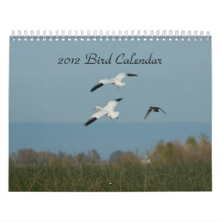 2012 BIRD CALENDAR KALENDER