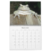 2012 Dave's tuin-kalender Kalender (Mar 2026)