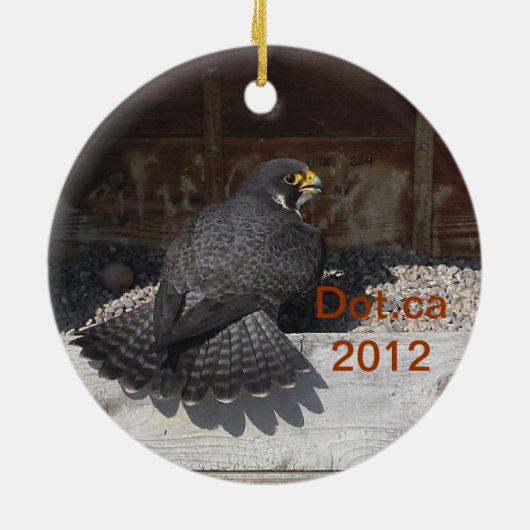 2012 Dot.ca Ornament (Achterkant)