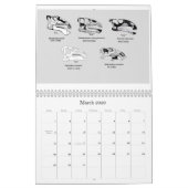 2012 HADROSAUR (HADROSAURIFORMES) KALENDER (Mar 2026)