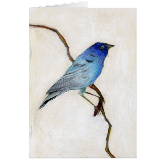 2012 peu bleu (Devant)