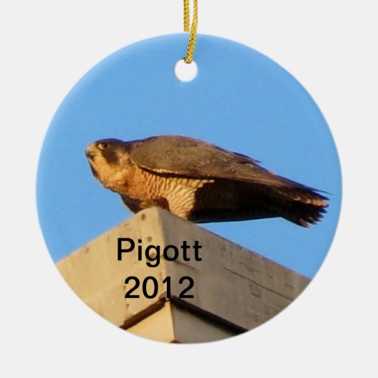 2012 Pigott Ornament (Voorkant)