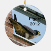 2012 Pigott Ornament (Achterkant)