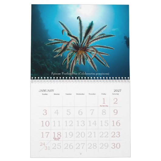 2012 Scheepvaart onderwater Kalender (Jan 2027)