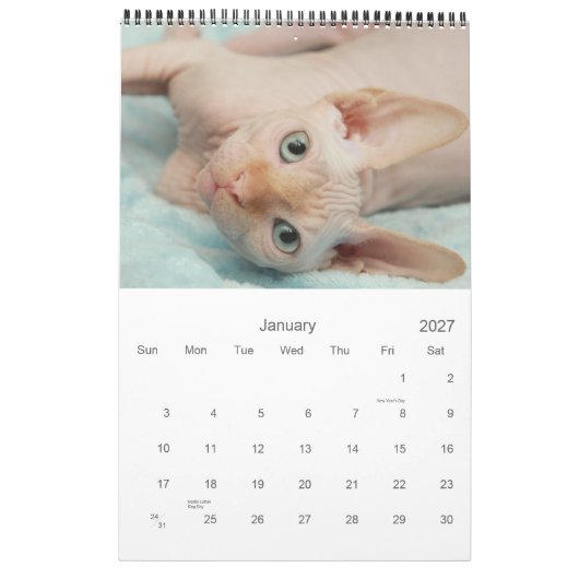 2012 Sphynx-kalender Kalender (Jan 2027)