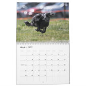 2012 Windhounds de soie dans le calendrier (Mar 2027)