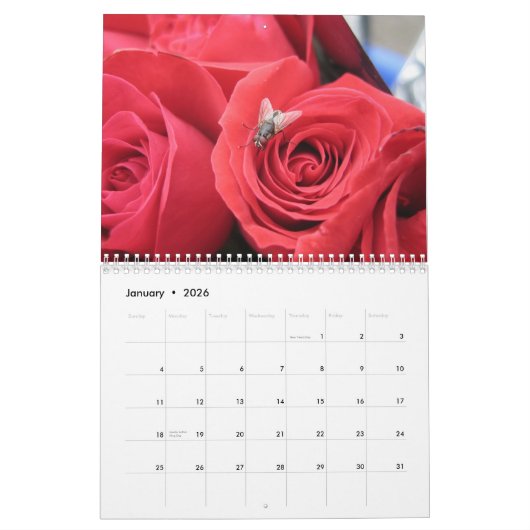 2013-14 calendrier de 12 mois de l'amant d'insecte (Jan 2026)