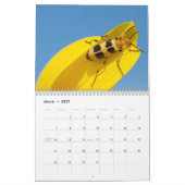 2013-14 calendrier de 12 mois de l'amant d'insecte (Mar 2027)