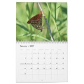 2013-14 calendrier de 12 mois de l'amant d'insecte (Feb 2027)