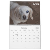 2013 Atlanta Beagle Rescue Calendar Kalender (Feb 2026)