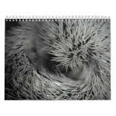 2013 calendrier 3 (Protection)