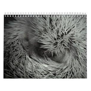 2013 calendrier 3