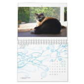 2013 calendrier - cinq amende Felines (Mar 2027)