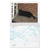 2013 calendrier - cinq amende Felines (Feb 2027)