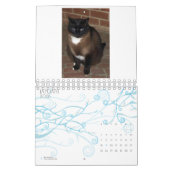 2013 calendrier - cinq amende Felines (Jan 2026)