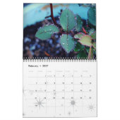 2013 calendrier de 12 mois (Feb 2027)