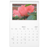 2013 - calendrier de pavot (Mar 2027)