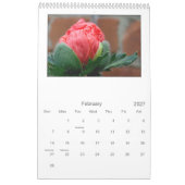 2013 - calendrier de pavot (Feb 2027)