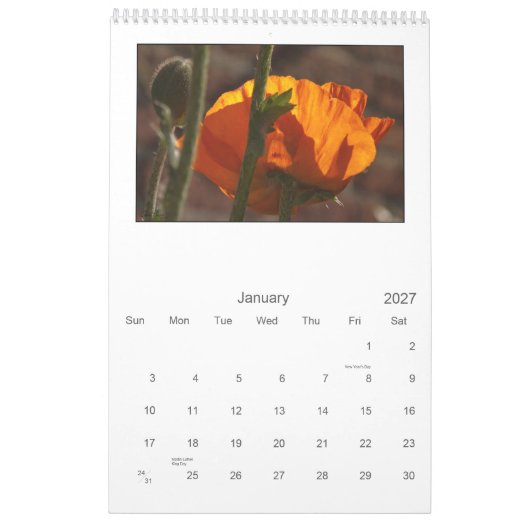 2013 - calendrier de pavot (Jan 2027)