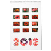2013 - calendrier de pavot (Protection)