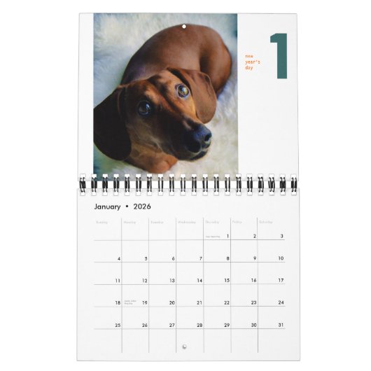 2013 calendrier de teckel - chumley minuscule (Jan 2026)