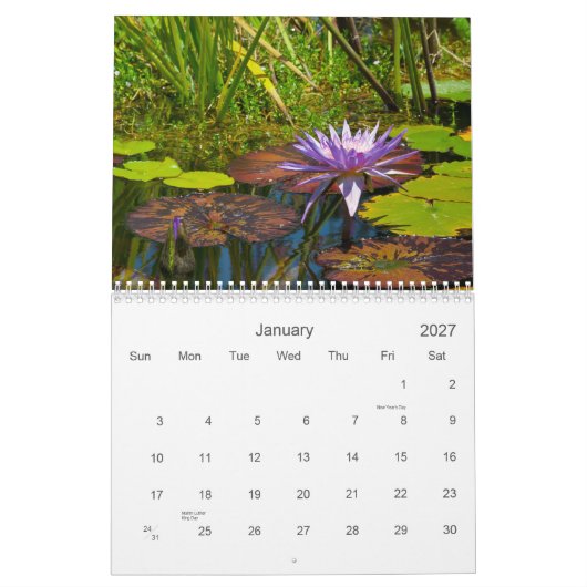 2013 calendrier - la collection I de Shotwell (Jan 2027)