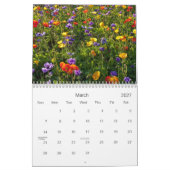 2013 calendrier - la collection I de Shotwell (Mar 2027)