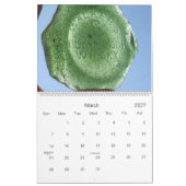 2013 calendrier - photos de Frameable (Mar 2027)